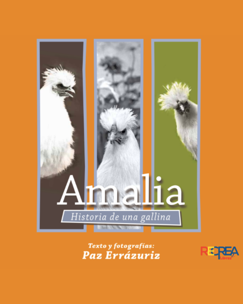 Amalia, historia de una gallina